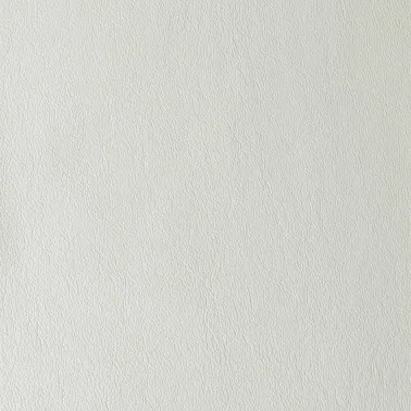 LAGUNA WHITE 08601