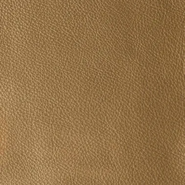 LAS VEGAS CAMEL 07756