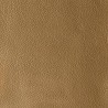 LAS VEGAS CAMEL 07756