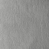 LASER ARGENT METALLIC