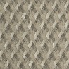 LAZIO TAUPE
