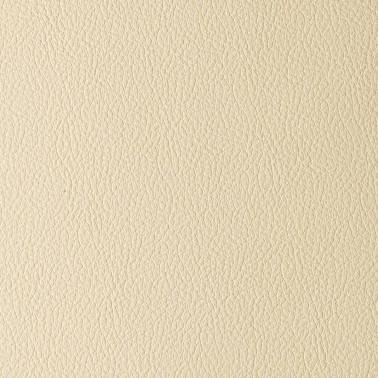 MADRAS IVORY