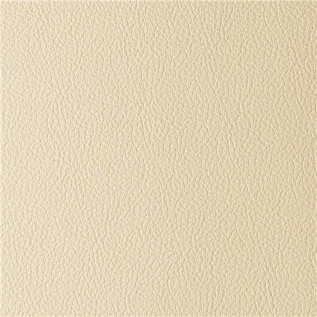 MADRAS IVORY