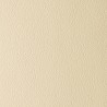 MADRAS IVORY