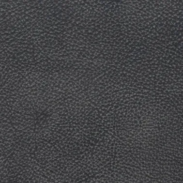 KANSAS GRAPHITE 181311
