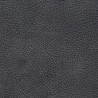 KANSAS GRAPHITE 181311