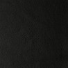 LAGUNA BLACK 08622