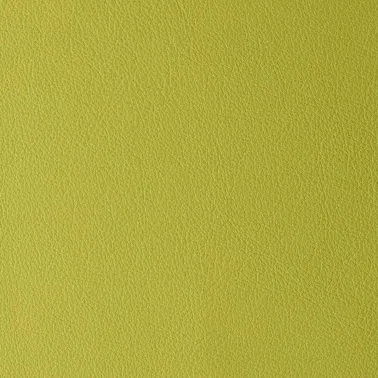 LAGUNA CELERY 08684