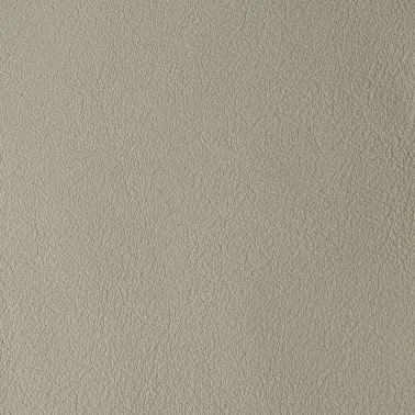 LAGUNA CEMENT 08668