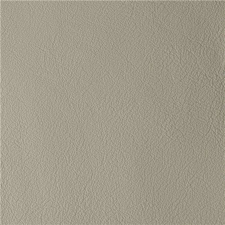 LAGUNA CEMENT 08668 LAGUNA CEMENT 08668
