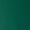 LAGUNA GREEN RAY 08658
