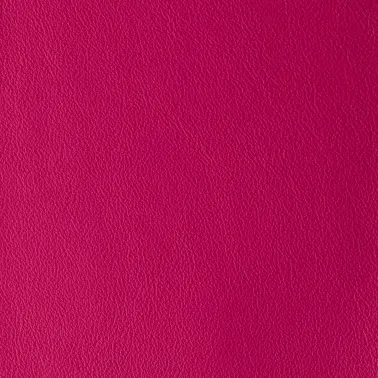 LAGUNA PASSION 08700