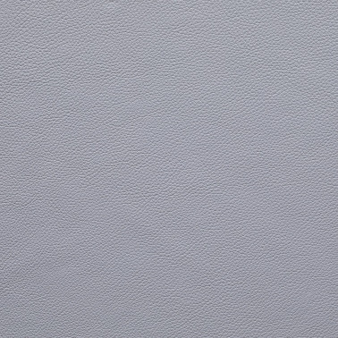 DALMATA073