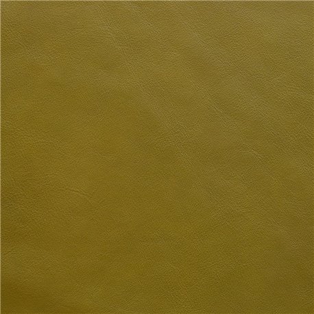 ASCOT FORESTA ASCOT FORESTA