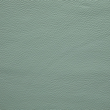 DALMATA078