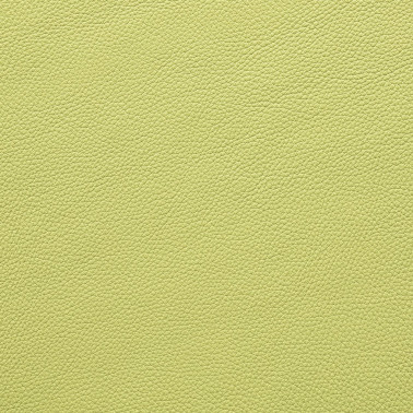 DALMATA088