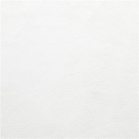 JOKER BLANCO OPTICO