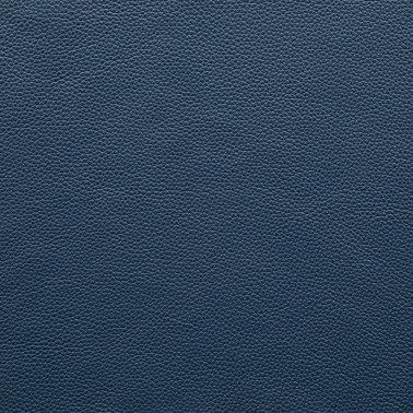 JOKER BLUE