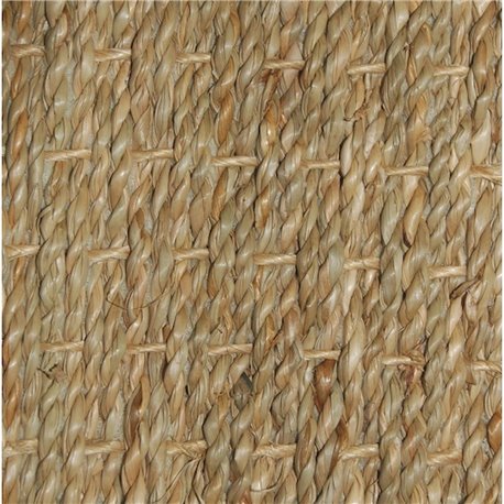 SEAGRASS PANAMA