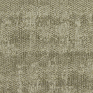 JARAPA-06