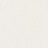 PLASTER PRIMO AZ53650