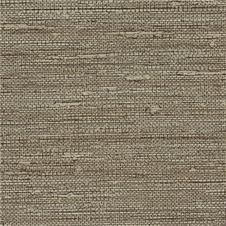 SISAL SONG AZ53461