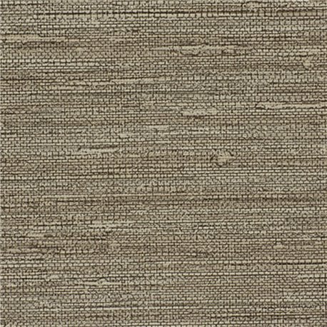 SISAL SONG AZ53461