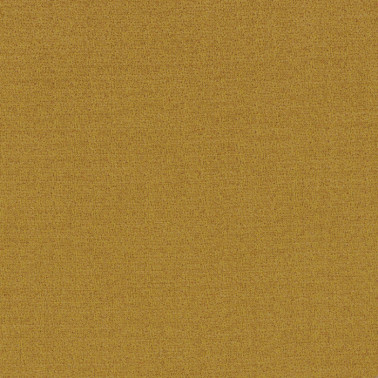 Dune 48622538