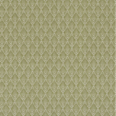Vogue Olive 38320939