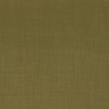 Lyrique Olive 49912323