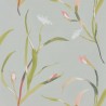 Saona Coral Silver HZAP111756