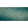 Aljibe M4302-2