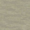 Canvas 313545