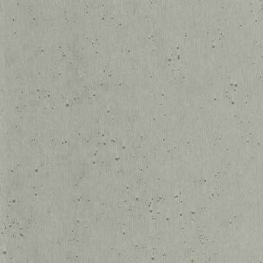 Burnished Patina Silver AC9212
