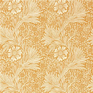 Marigold Orange MCOW217093