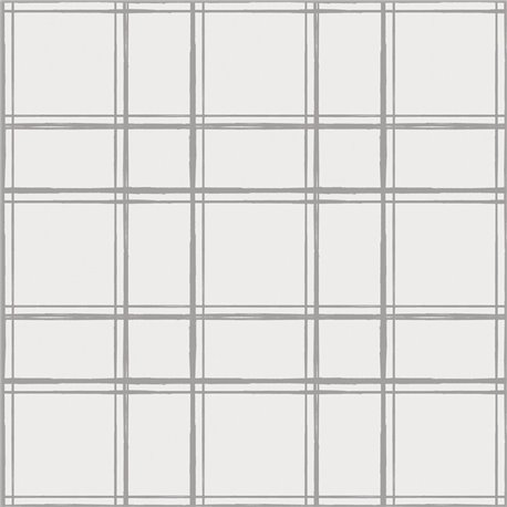 H0676 Graph Paper Grey