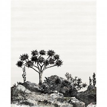 Yucca PAN211