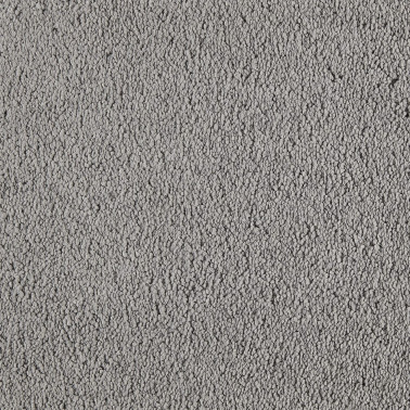 SMART 870 SILVER