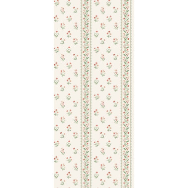 Petit Dapuri NCW4493-02