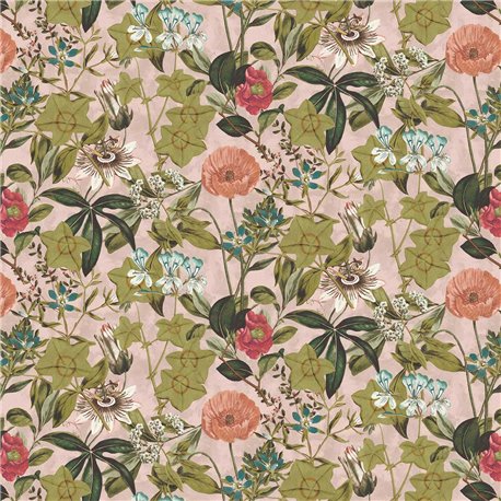 Passiflora Blush Velvet F1304-06 Passiflora Blush Velvet F1304-06