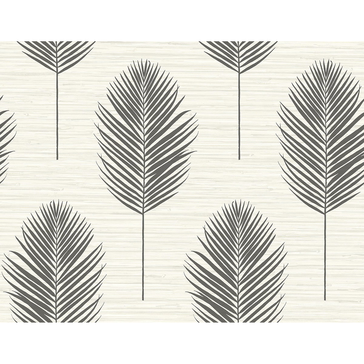 Bali Fern 2988-70210.jpeg