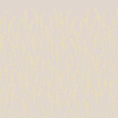 FEATHER GRASS BP 5104