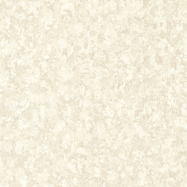 Mur Antique Blanc Craie 88110246