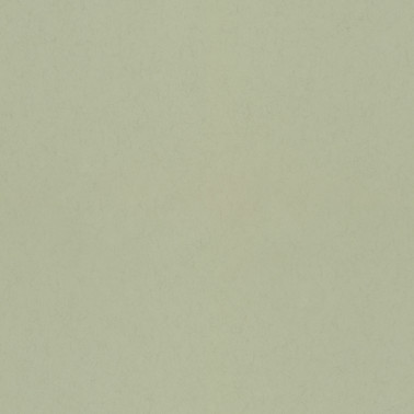 77005