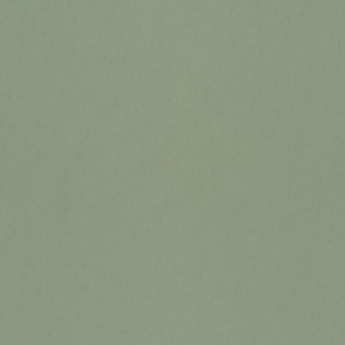 77006