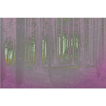 CYBER FOREST K020_22_02