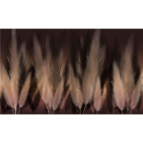 PAMPAS k022_38_01