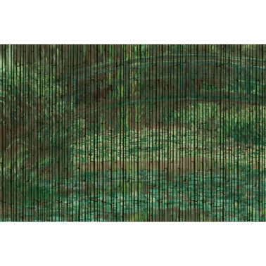 BAMBOO K021_16_01
