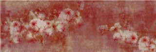EDEN K021_61_03