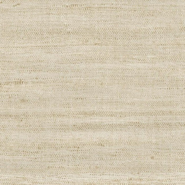 Lignes Champagne 40500A